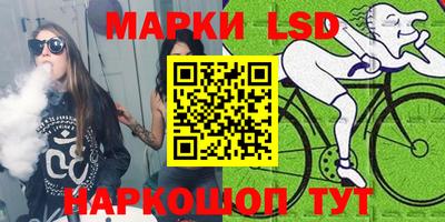spice Гатчина