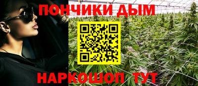 spice Гатчина
