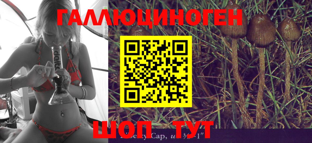 Псилоцибиновые грибы прущие грибы  Каменск-Шахтинский  Галлюциногенные грибы прущие грибы 