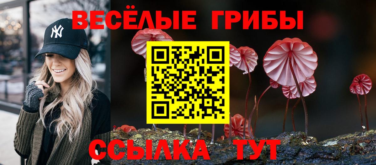 Галлюциногенные грибы Psilocybe  где найти наркотики  Галлюциногенные грибы Cubensis  Каменск-Шахтинский  Вход с VPN 